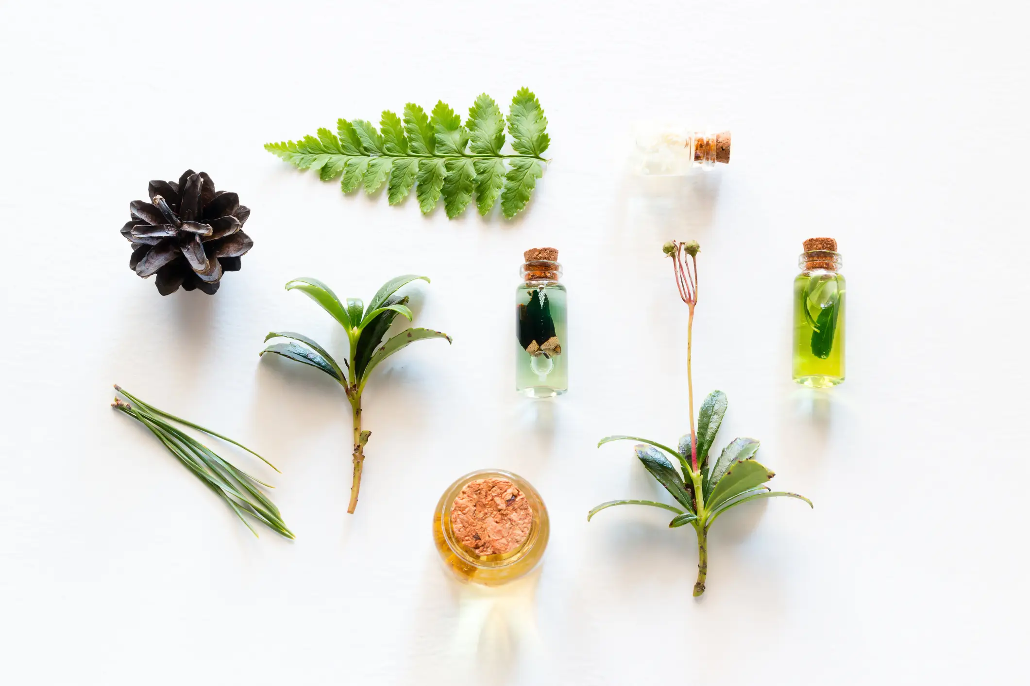 cosmetics from natural wood ingredients